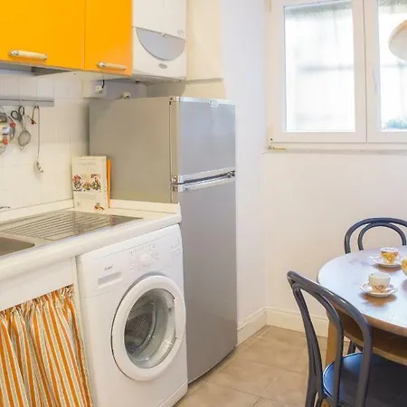 The Carpet Appartement *