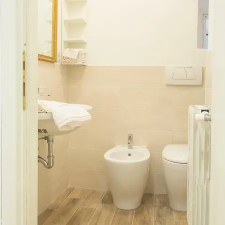 Apartment The Carpet